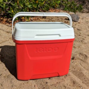 16-Quart Insulated Cooler for Rent with Convenient Carry Handle