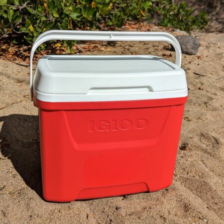 16-Quart Insulated Cooler for Rent with Convenient Carry Handle