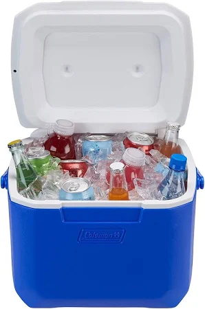 16-Quart Insulated Cooler for Rent with Convenient Carry Handle - Image 2